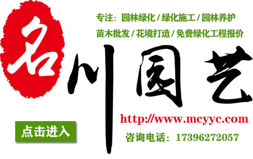 名川园艺场官网logo