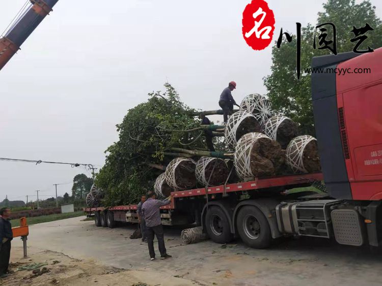 部分装车现场图片1