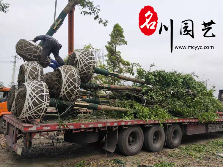 部分装车现场图片2